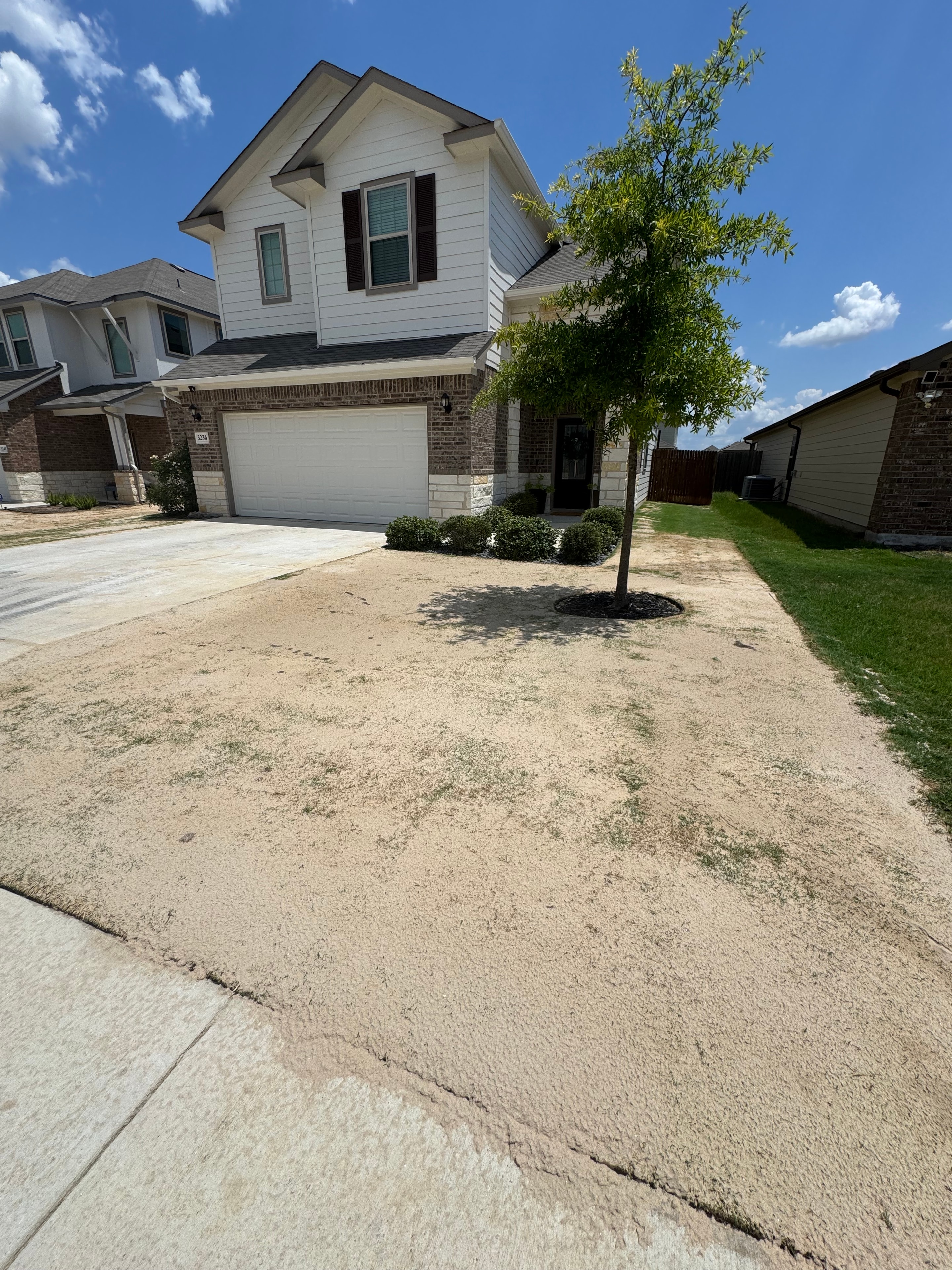 Lawn Leveling